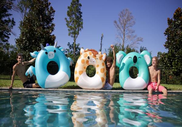 Pool Toys